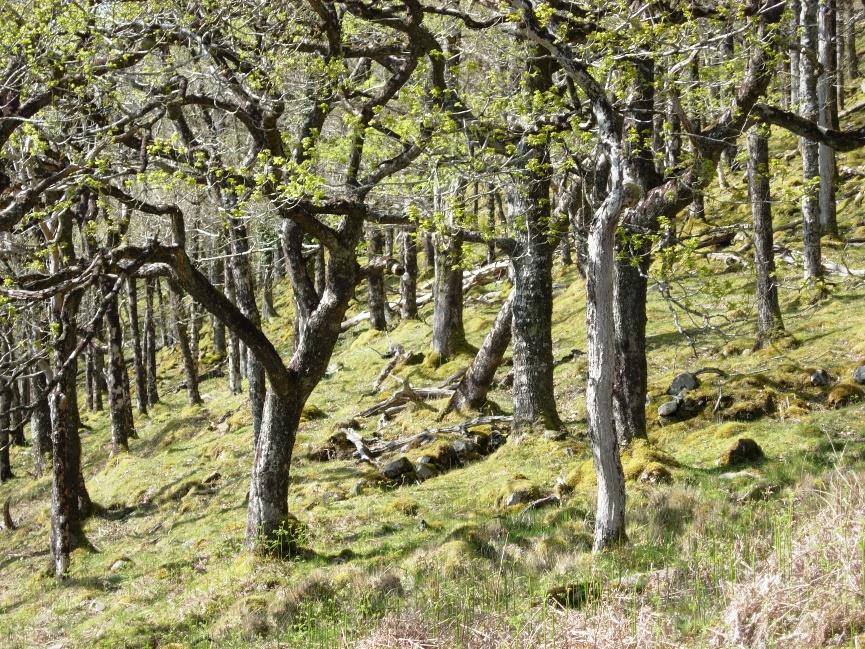 Rahoy Hills Nature Reserve