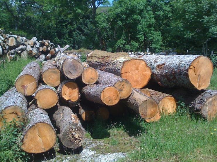 Chopped wood